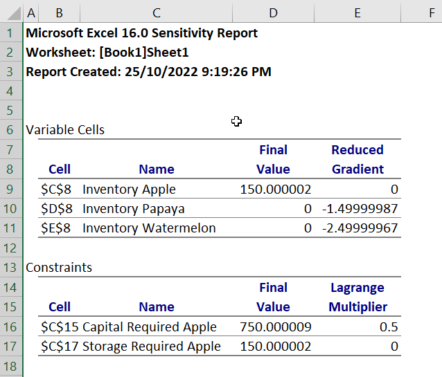 sensitivity report from solver in Excel